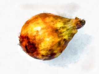 rotten onion on a white background watercolor style illustration impressionist painting.