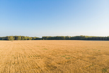 a field of wheat in ukraine photographed from a drone