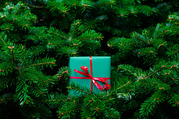 A green textured gift box tied with red ribbon with a bow hidden between dense green fir tree...