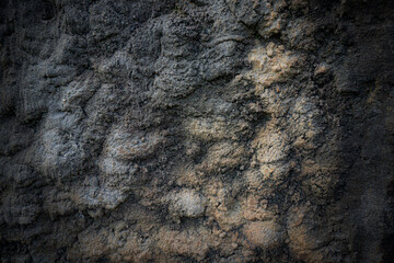Dark soil texture background. Natural pattern. Ground