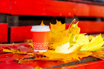 Small cardboard blank takeaway coffee cup on bench in autumn. Fallen leaves. Close-up. Warm up with aromatic coffee.Hot drink.season, advertisement and drinks concept, mock up