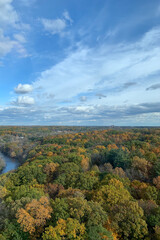 Ann Arbor autumn forest views