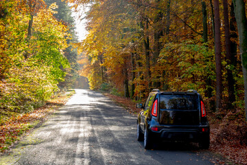 Car traveling in fall forest