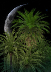 3D Palm trees and crescent moon