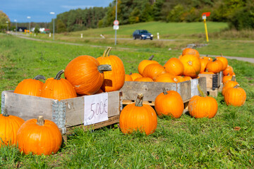 Self serving pumpkins for sale at the road side in Germany