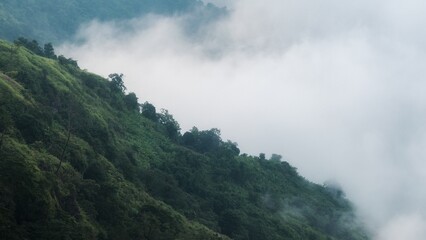 fog in the mountains
