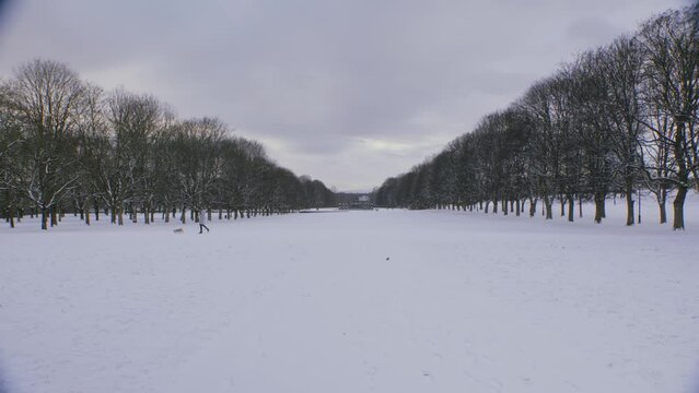 Frogner park in Oslo, Norway, wide shot with with pedestrians, trees, dog walker