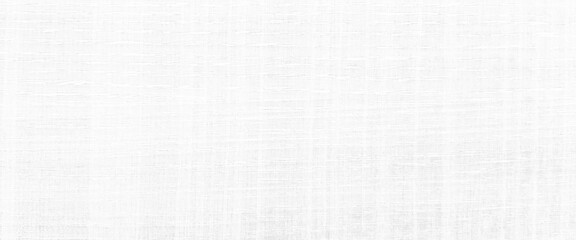 White plywood texture, white wood texture with beautiful natural patterns, white washed soft wood surface as background texture wood.