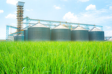 Fototapeta premium grain storage silo in green field
