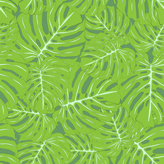 Seamless pattern of leaves monstera