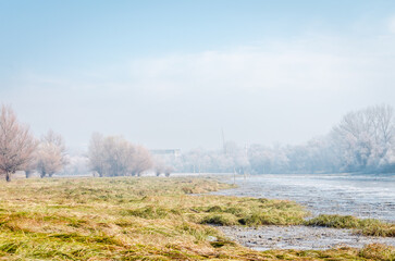Danube Island Sodros near Novi Sad, Serbia. Gray and white landscape with frozen water.