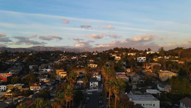 Aerial view flying in middle of a Palm tree road in Elysian Park, sunny evening in Los Angeles, USA - rising, drone shot