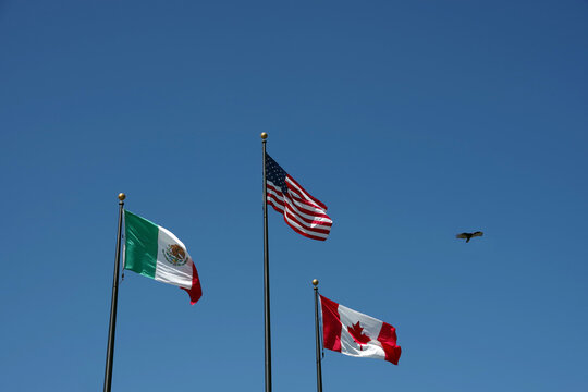 Flags of the United States, Mexico, Canada waving side by side under blue sky with a bird flying