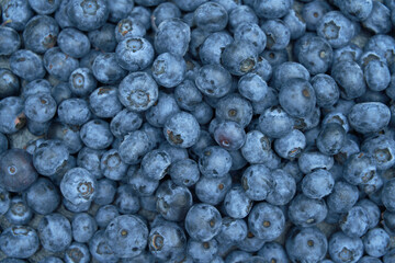 Blueberry flat lay photo. Close up of blueberries texture. Top view of summer berries on a table. Design mock-up for a diet or a healthy food