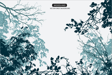 forest and mountain background with branch of tree 