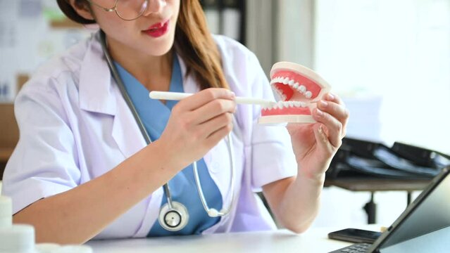 Dentist sitting at table with jaw samples tooth model and working with tablet and laptop in dental office professional dental clinic. medical doctor working.