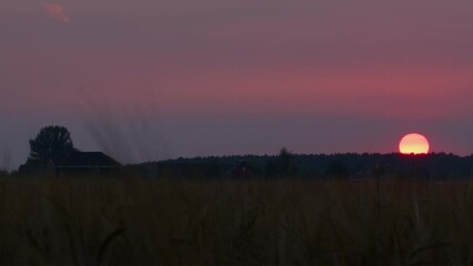 Timelapse of sun setting in countryside. Picturesque sunset over village.