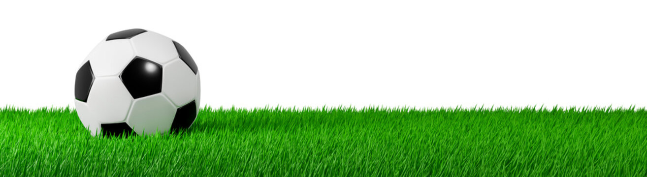 3D render Soccer ball on spring grass field banner illustration. PNG file