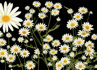 A beautiful illustration of a daisy on a black background. The colors are rich and vibrant, and the daisy itself are intricately detailed. A perfect image to use for a springtime or nature project