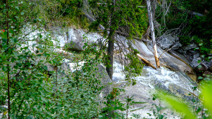 Slovak mountain river in the High Tatras. Tourist trails in the summer along the clear, fast river Studena. © Sandris Veveris
