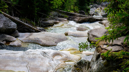 Slovak mountain river in the High Tatras. Tourist trails in the summer along the clear, fast river Studena. © Sandris Veveris