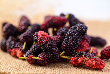 Fresh mulberry fruit, Healthy tropical fruit