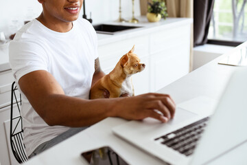 Partial shot of smiling african american freelancer holding Chihuahua dog and using blurred laptop in kitchen 