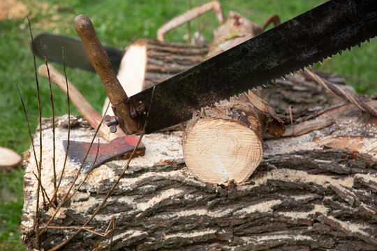 Brennholz produzieren wie früher mit Axt und Säge