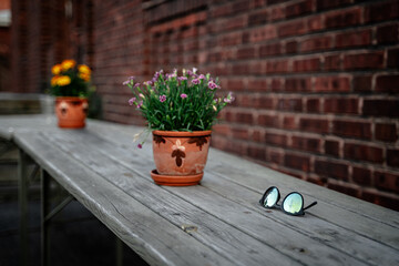 Small flower pots and sunglasses on a wooden table next to a brick wall