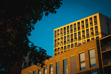 Old building with tree branches in the foreground