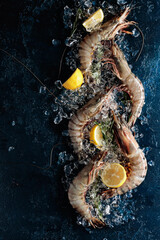Fresh tiger prawns with lemon, rosemary and crushed ice on a dark blue background.