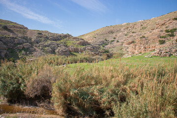 Mountains and nature of Jericho, Palestine
