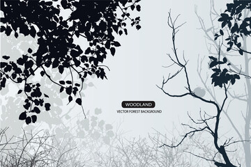 forest and mountain background with branch of tree 