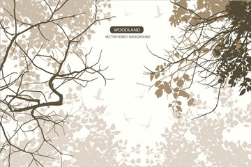 branch of tree in forest