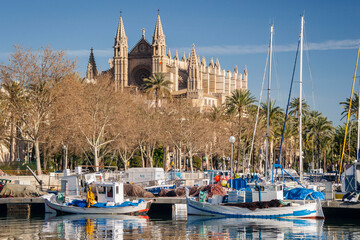 Catedral de Palma desde Moll de la Riba, Palma, mallorca, islas baleares, españa, europa
