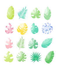 Set of tropical leaves