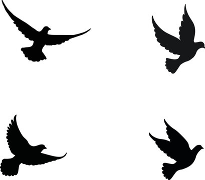 Flock of 4 birds flying vector illustration silhouette drawing