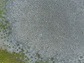 Top view of fish pond dried clay on bottom