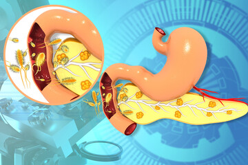 Human stomach and pancreas. 3d  illustration..