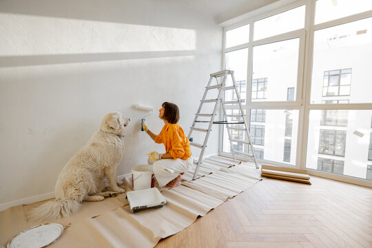 Woman with her dog paints the wall in white color, making repairment in newly purchased apartment. Repair and house renovation concept