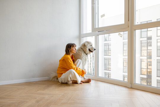 Young woman sits with her dog near the window in bright room of her new apartment. Friendship with pet and house renovation concept