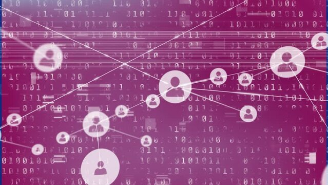 Animation of network of profile icons over binary coding data processing against pink background
