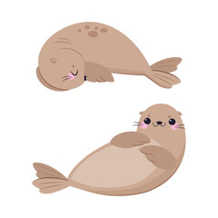 Funny Seal with Cute Snout Having Beige Fur and Fins Lying Vector Set