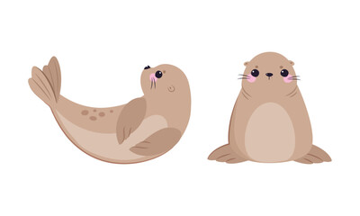 Funny Seal with Cute Snout Having Beige Fur and Fins Vector Set