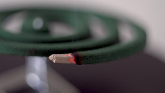 Mosquito repellent. Green spiral. Burning coal. White smoke. Destruction of insects. Human protection. Comfort in the house. Macro shooting. Close-up.