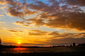 sunset, landscape with colorful clouds and trees, outline photo