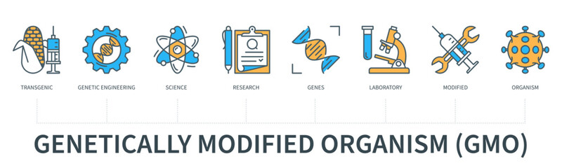 Genetically modified organism GMO concept with icons in minimal flat line style