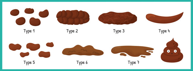 Bristol stool set with different types of poo. Human feces collection from constipation to diarrhea. Vector illustration
