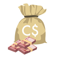 Cordoba Oro Vector Illustration. Nicaragua money set bundle banknotes. Money bag 500 NIO. Flat style. Isolated on white background. Simple minimal design.
