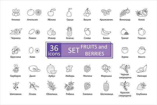Fruit and berries icon set. Signature in Russian 26 icons set of fruits and berries. Simple concise images of fruit and berries with names in Russian. Collection of icons in outlines.  Vector, eps